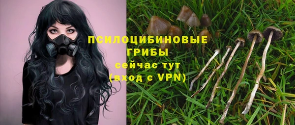твердый Заволжск