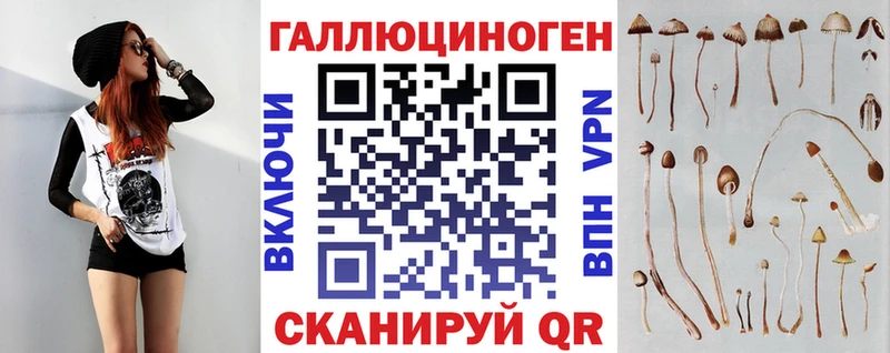 Купить где  Нюрба  Галлюциногенные грибы GOLDEN TEACHER 